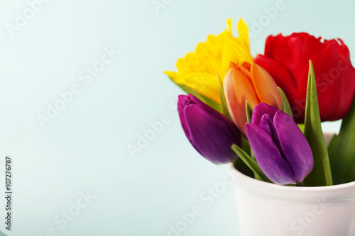 Fototapeta Naklejka Na Ścianę i Meble -  Spring flowers on blue background