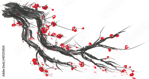 Realistic sakura blossom - Japanese cherry tree isolated on white background. Vector
