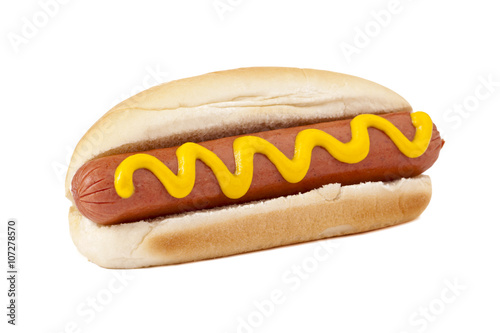 hotdog sandwich with yellow mustard sauce