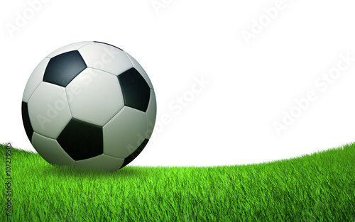 soccer ball close up on the turf  sports soccer backdrop  isolated on white background