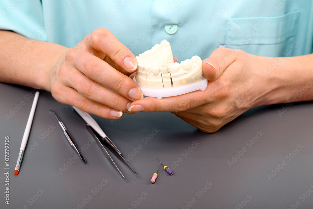 Technik dentystyczny pracuje nad modelem szczęki  - obrazy, fototapety, plakaty 
