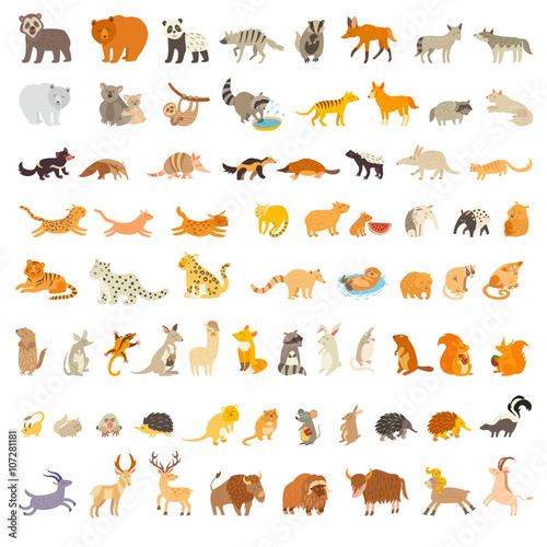 Fototapeta Naklejka Na Ścianę i Meble -  Mammals of the world. Extra big animals set. Vector illustration, isolated on a white background