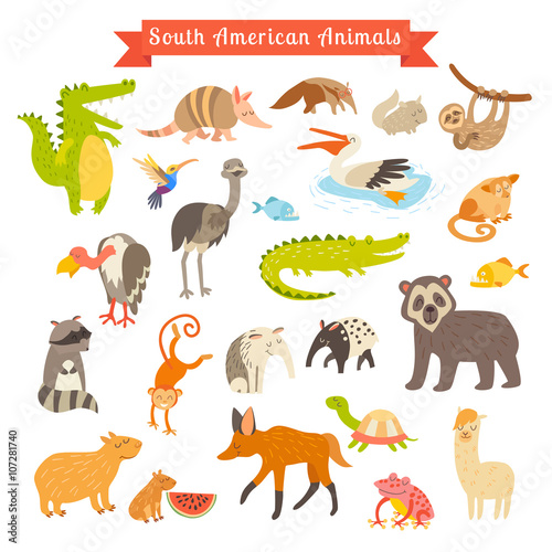 Sourth America animals  vector illustration. Big vector set. Isolated on white background. Preschool  baby  continents  travelling  drawn