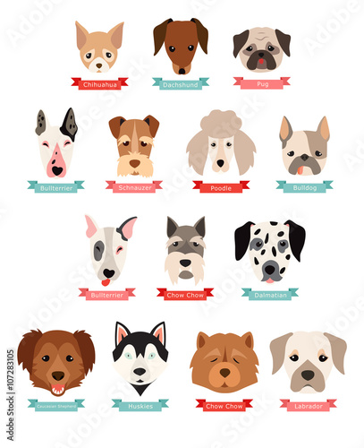 All dogs breeds hotsell name with picture