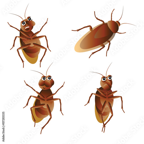 red cockroach beetle runs says smiling mad cartoon on white background © 01elena10