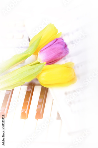 Fototapeta Naklejka Na Ścianę i Meble -  piano keys Tulip flowers gentle spring retro vintage style music background