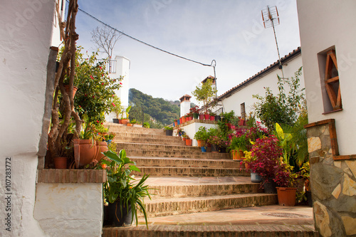 traditional white architecture mountain village in Andalusia , Spain