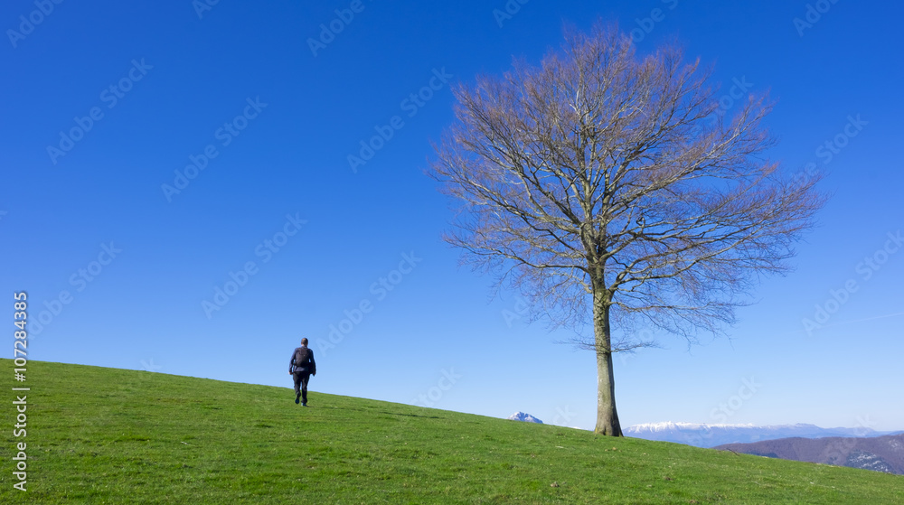 Man on top of the mountain by a green meadow.