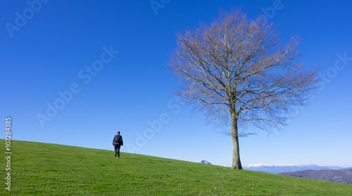 Man on top of the mountain by a green meadow.