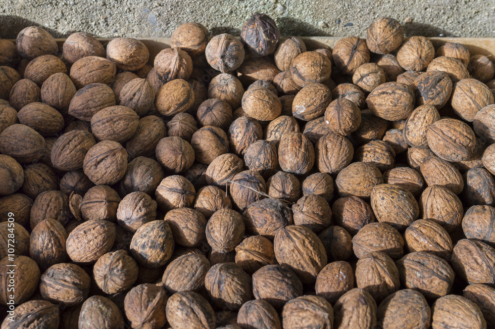 Nueces.