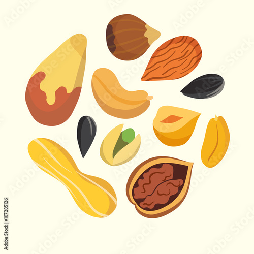 Nuts on white background. Cartoon isolated vector. Healthy food