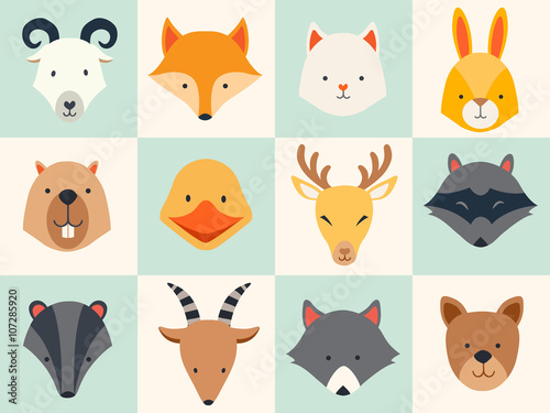 Set of cute animals icons, vector illustrations on colored background.