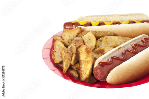 hotdog sandwiches and potato fries in a plate