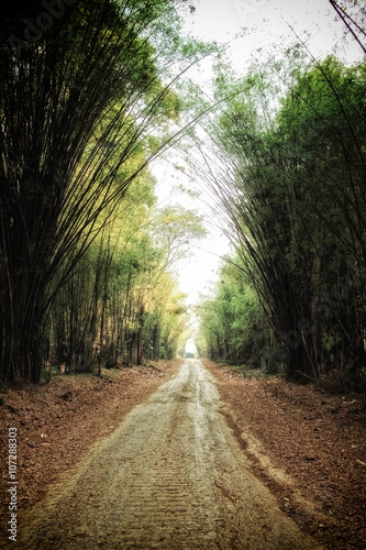 Fototapeta Naklejka Na Ścianę i Meble -  Rural road in bamboo forest