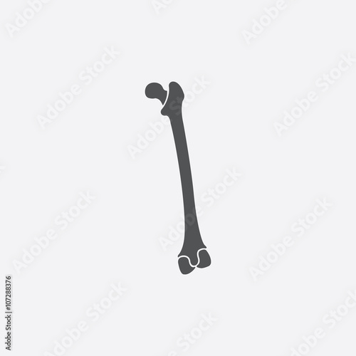 Humerus icon of vector illustration for web and mobile