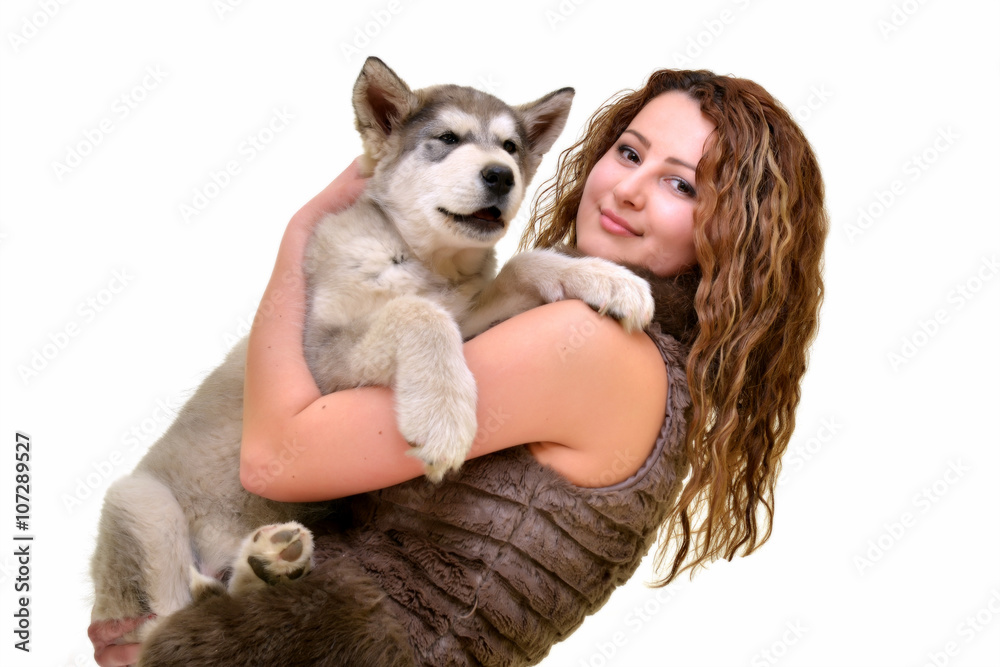 Obraz premium malamute