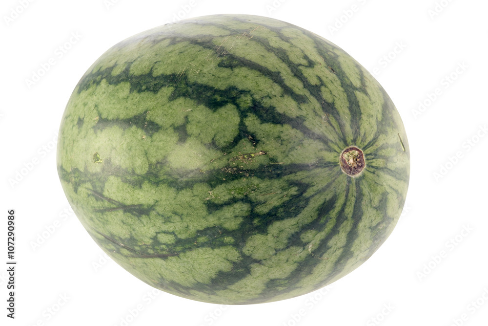 Watermelon / Watermelon isolated on white background. Watermelon / Watermelon isolated on white background.