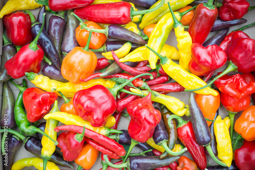 Mixed Colourful Peppers and Chillis
