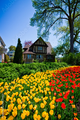 Tulips Festival in Ottawa during spring season