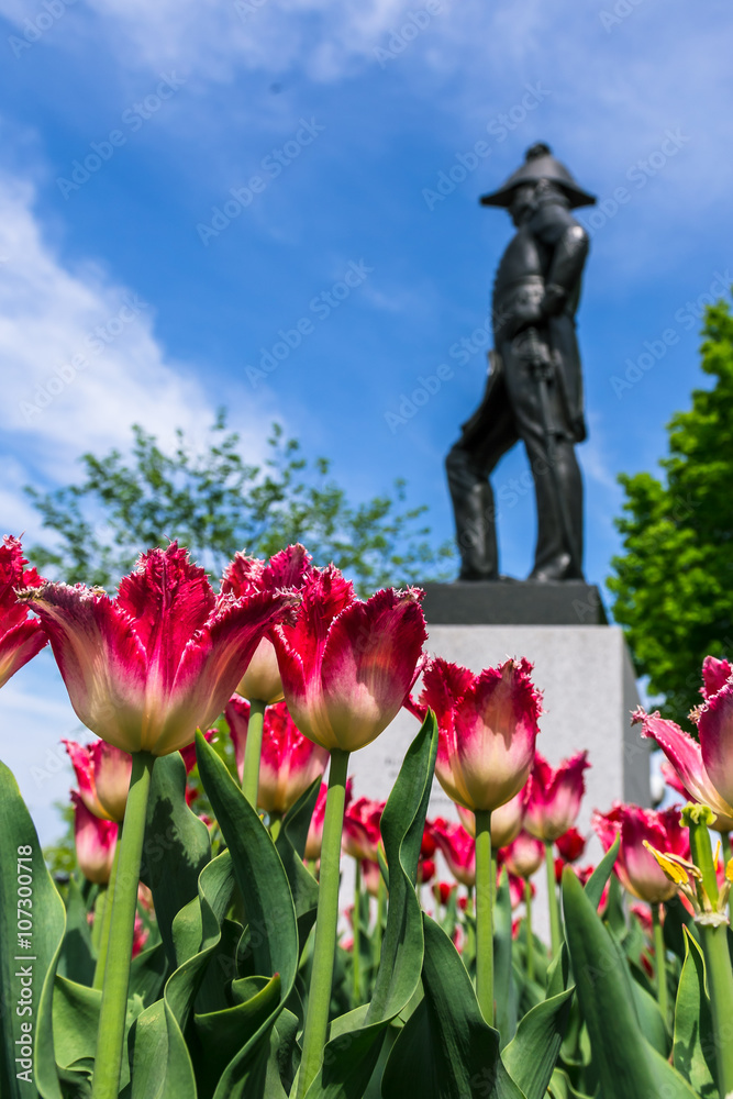 Tulips Festival in Ottawa during spring season