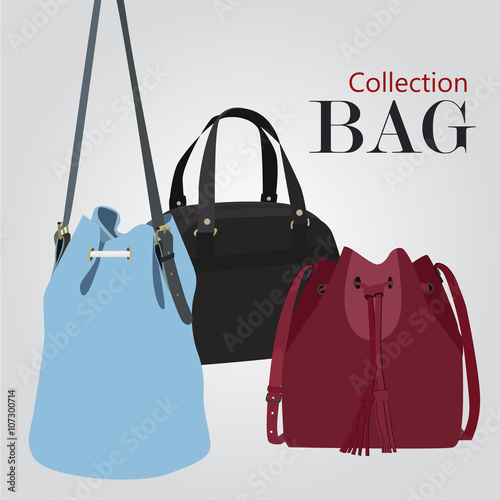 Collection bags Illustration vector set