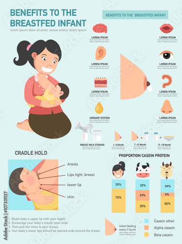 Benefits to the breastfed infant infographics.vector