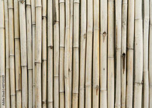 bamboo fence