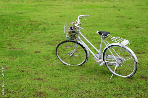 Old bicycle on green grass
