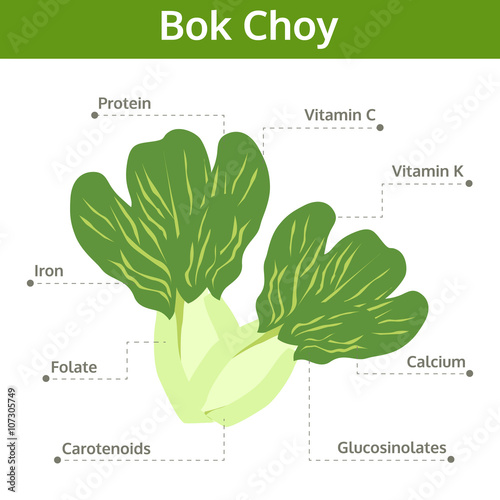 bok choy nutrient of facts and health benefits, info graphic