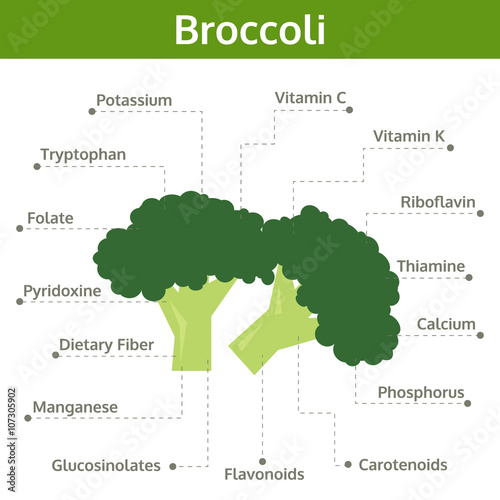 broccoli nutrient of facts and health benefits, info graphic