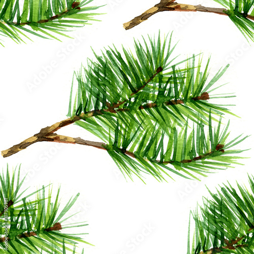 Watercolor pine set on white background