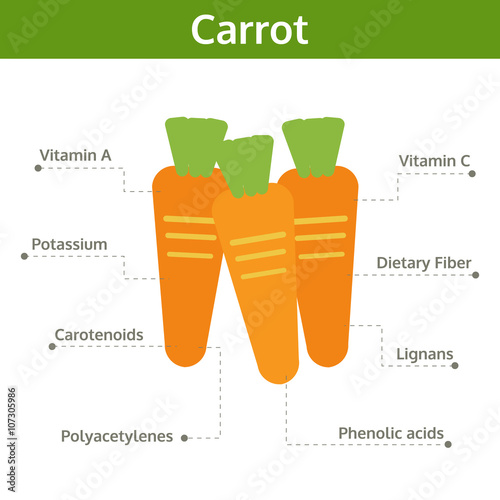 carrot nutrient of facts and health benefits, info graphic