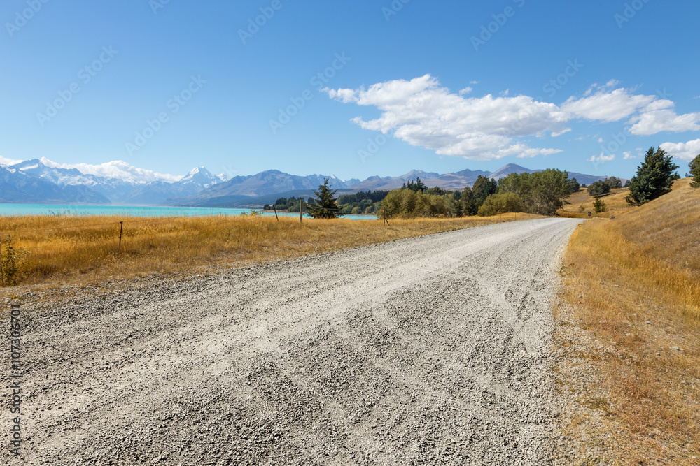 empty rural road through pasture in fine day in new zealand