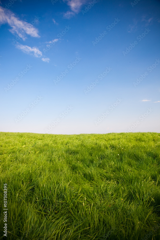 amazing green field with cloud and sun
