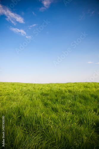 amazing green field with cloud and sun