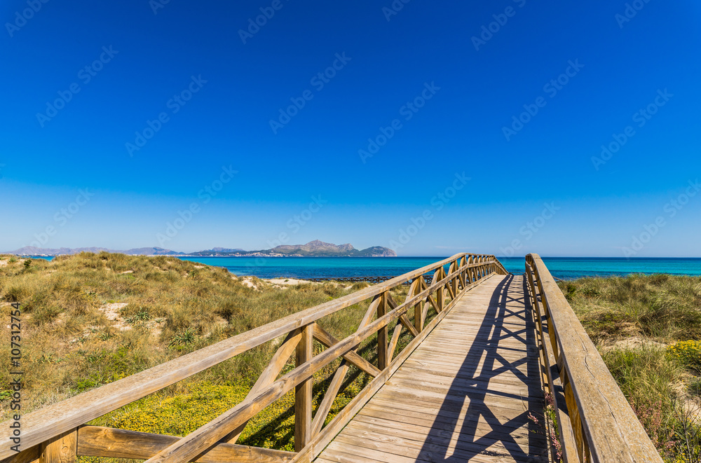 Dunes Landscape Bay of Alcudia Majorca Spain