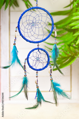 Blue Native American Dream Catcher and Feathers
