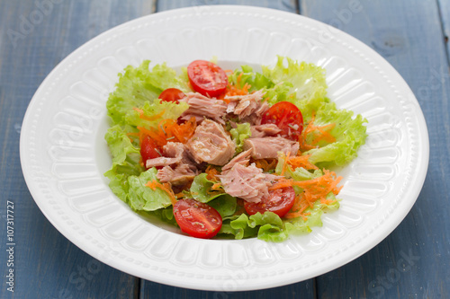 tuna salad on white plate on blue wooden background