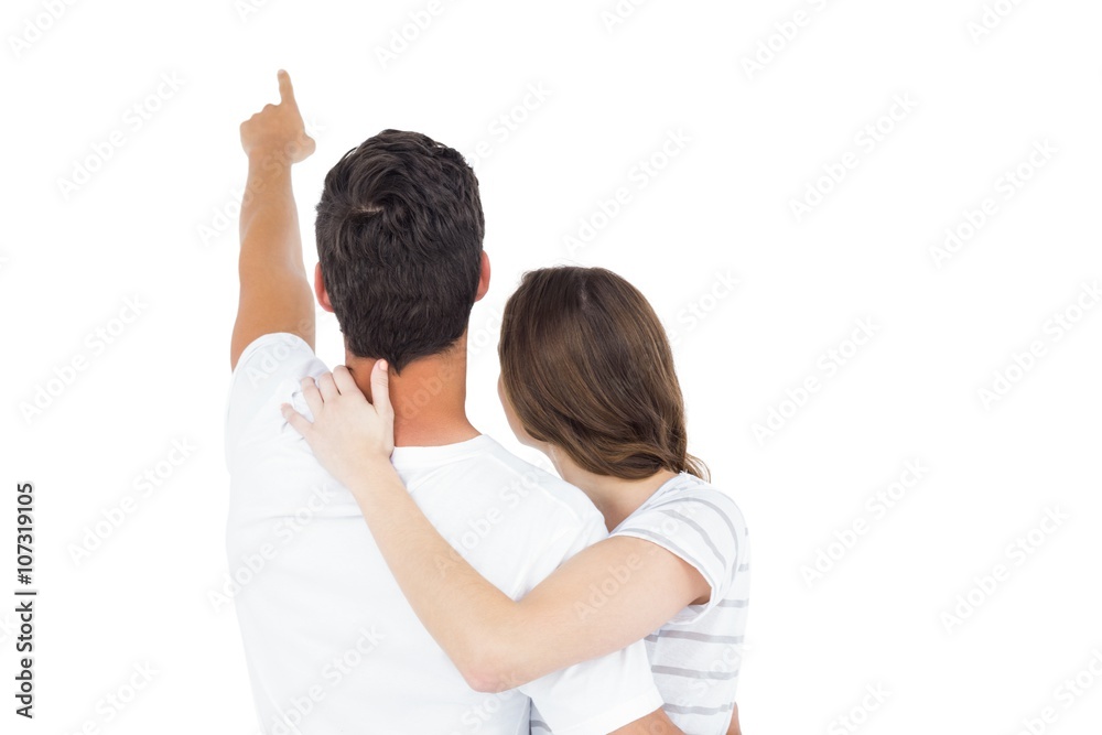 Rear view of a couple embracing and pointing