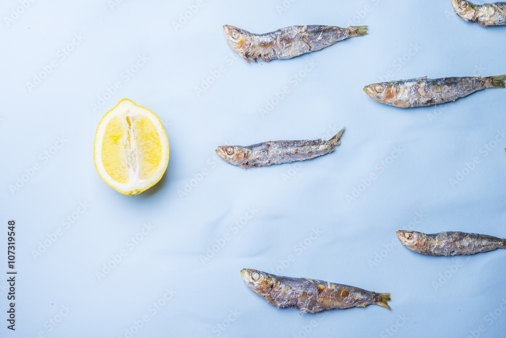 Sardine fishes in a row on a blue wet background Sardine fishes in a row on a blue wet background