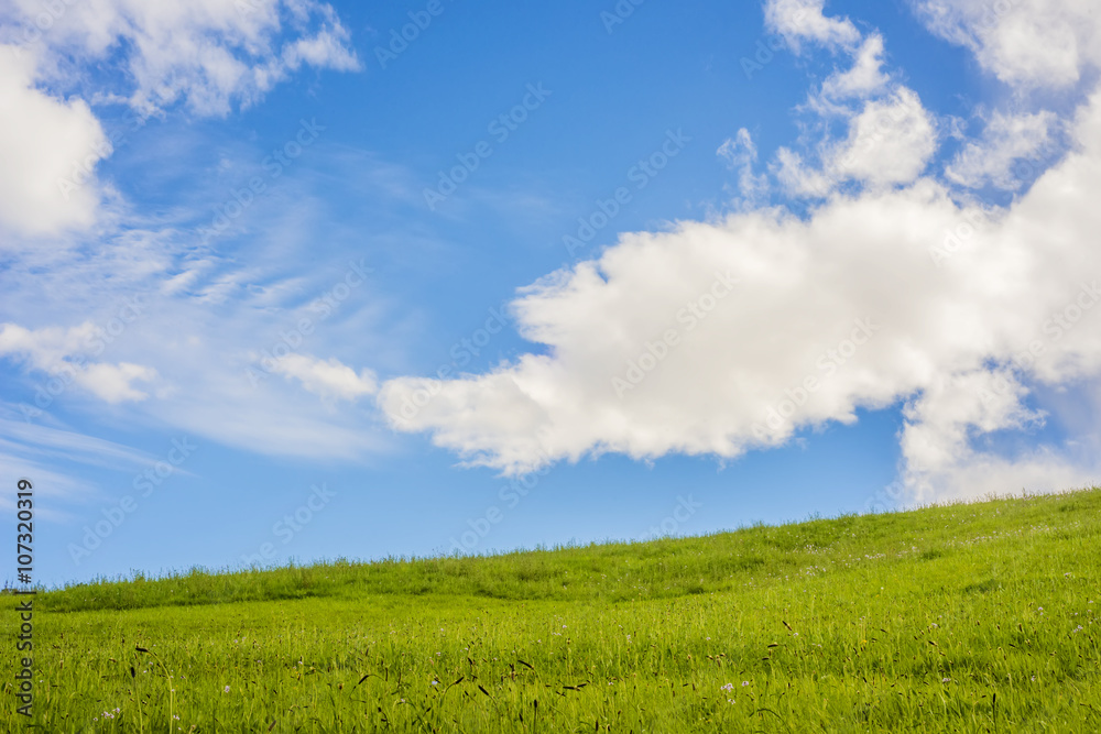 Countryside in spring
