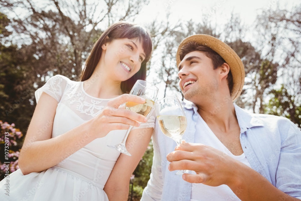 Young couple toasting a wine glass Young couple toasting a wine glass