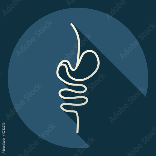 Flat modern design with shadow  Icon intestines