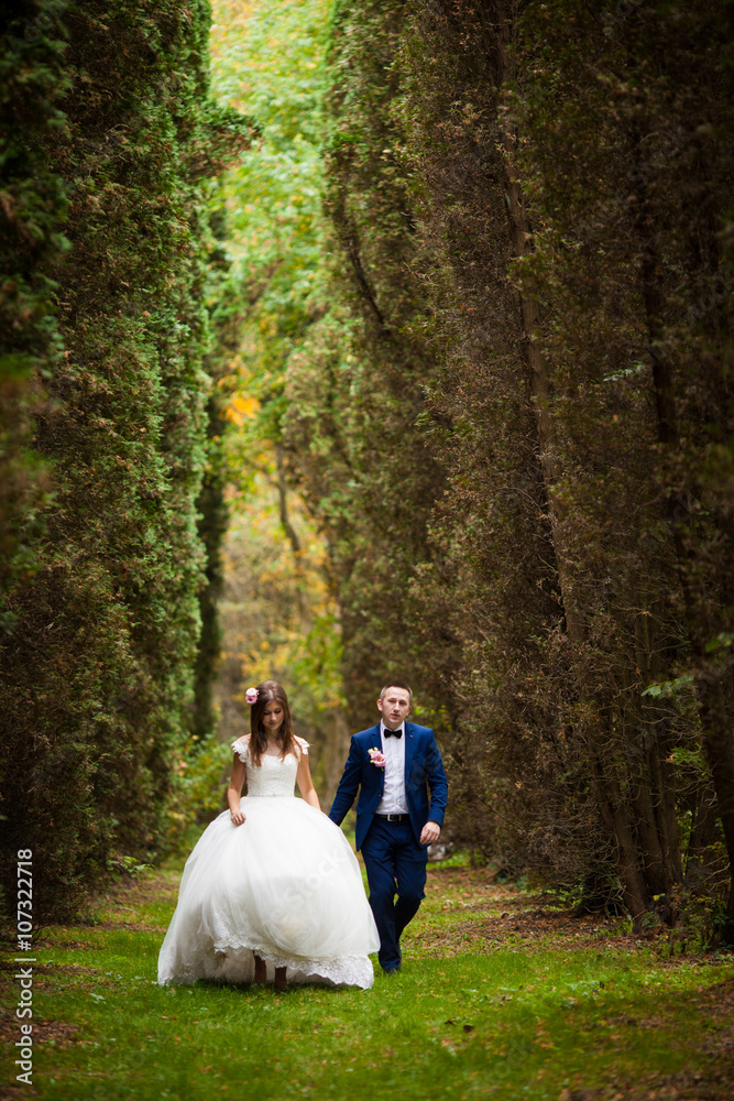 elegant stylish groom with his happy gorgeous brunette bride on elegant stylish groom with his happy gorgeous brunette bride on