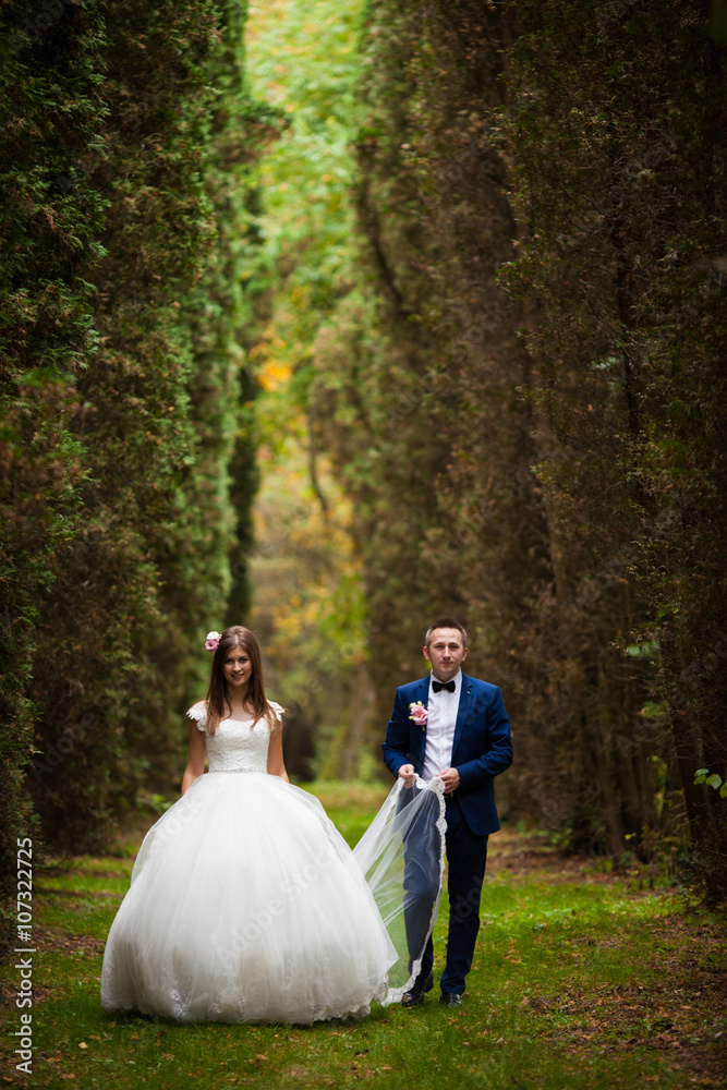 elegant stylish groom with his happy gorgeous brunette bride on elegant stylish groom with his happy gorgeous brunette bride on