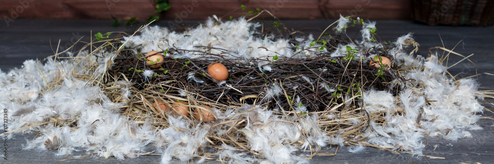 chicken eggs, nest, shells, Easter decor
chicken eggs, nest, shells, Easter decor