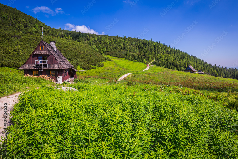 Hala Gasienicowa(Valey Gasienicowa) in Tatra mountains in Zakopa Hala Gasienicowa(Valey Gasienicowa) in Tatra mountains in Zakopa