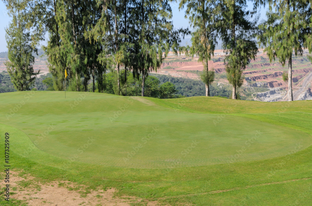 Beautiful landscape of a golf court with pine trees