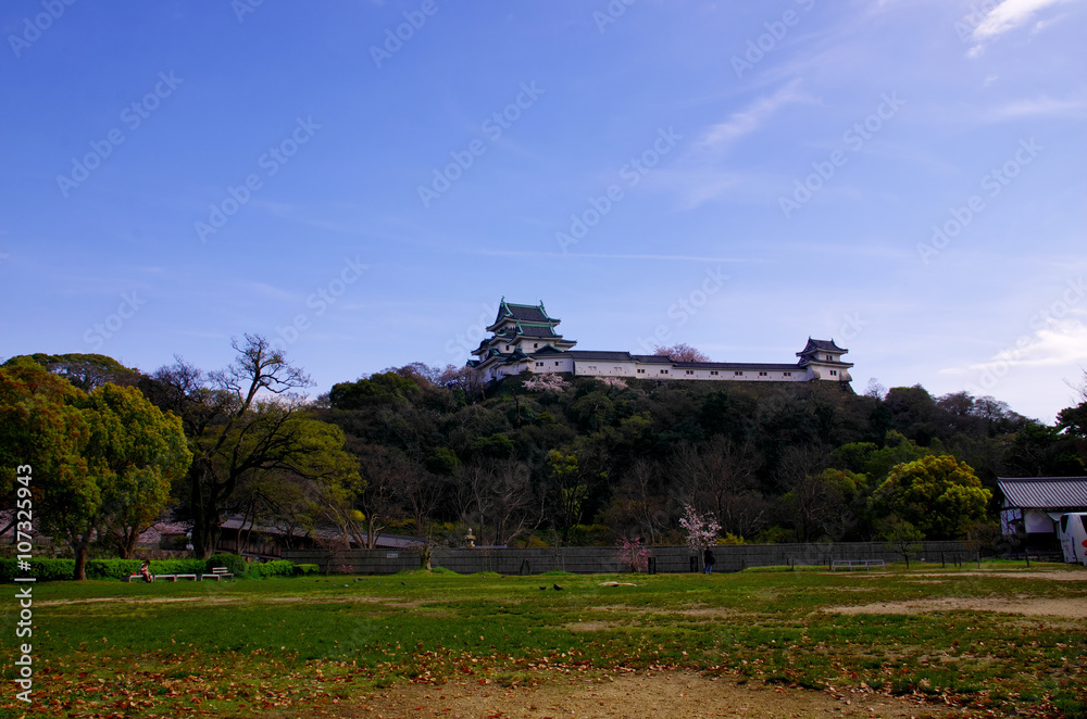 桜の咲いてる和歌山城