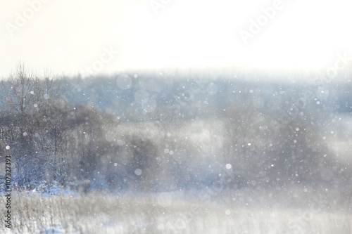 winter background blur forest snowflakes bokeh